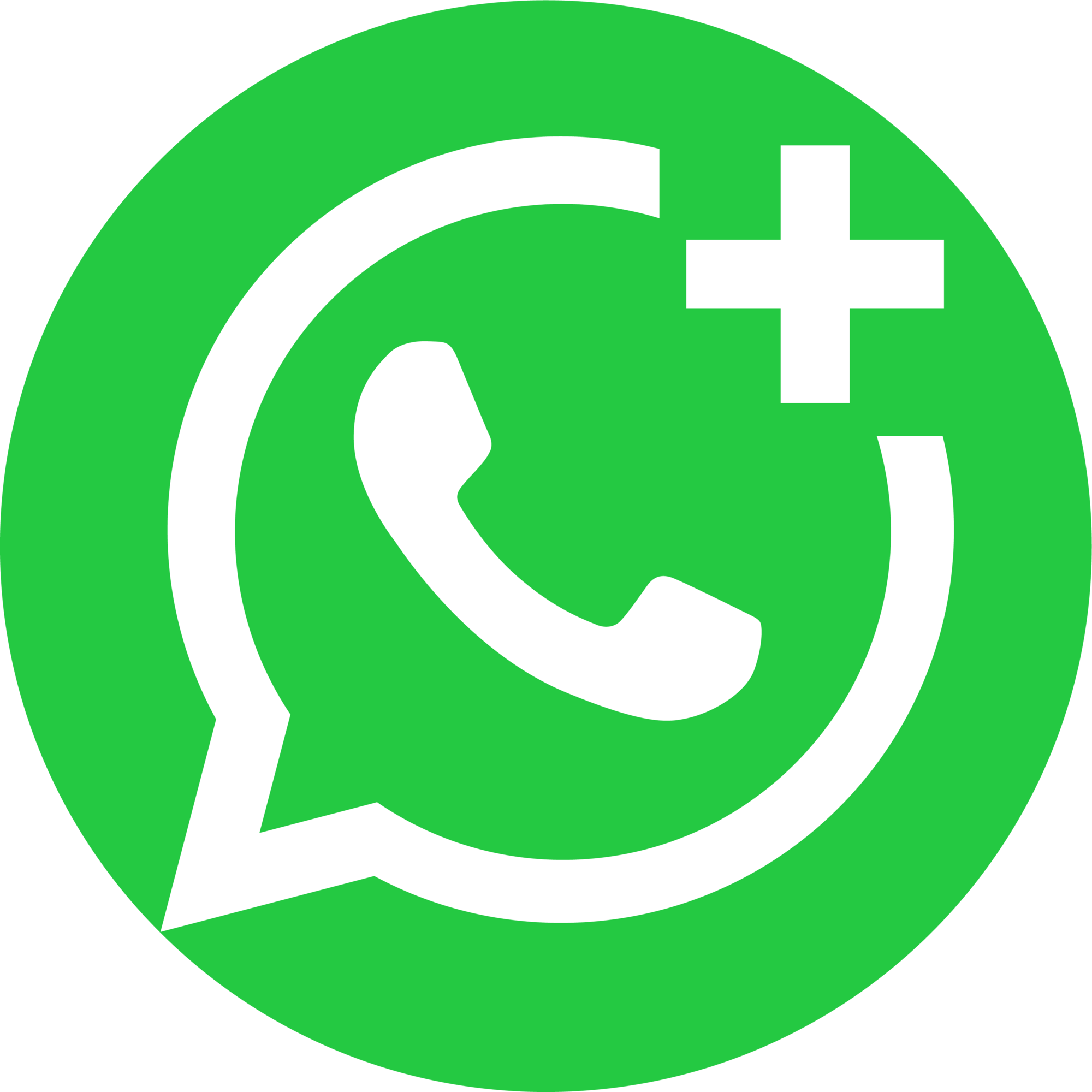 WhatsApp Logo